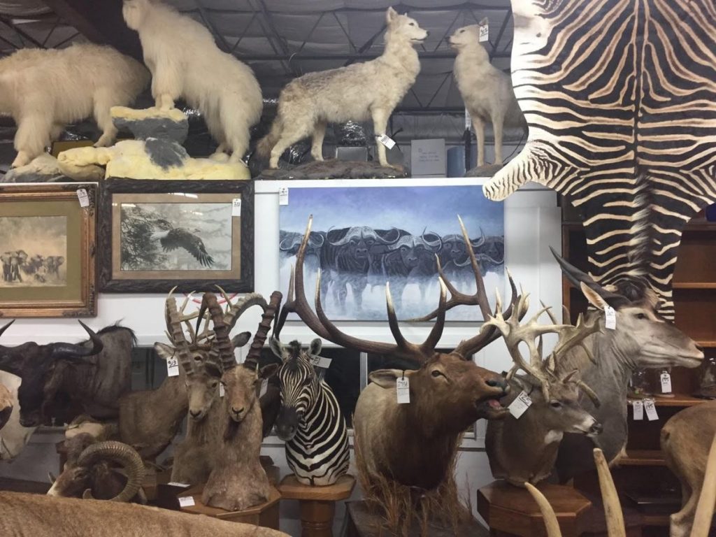 Western Sportsman